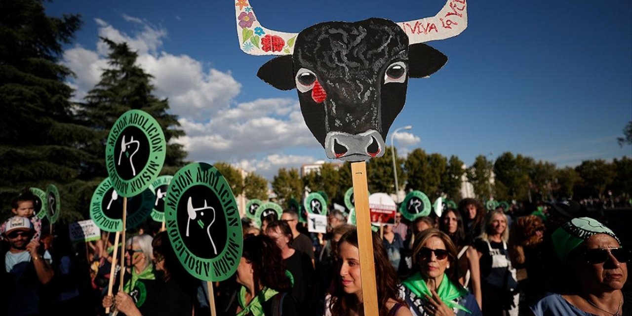 İspanya'da Boğa Güreşlerinin Yasaklanması İçin Madrid'de Gösteri Düzenlendi