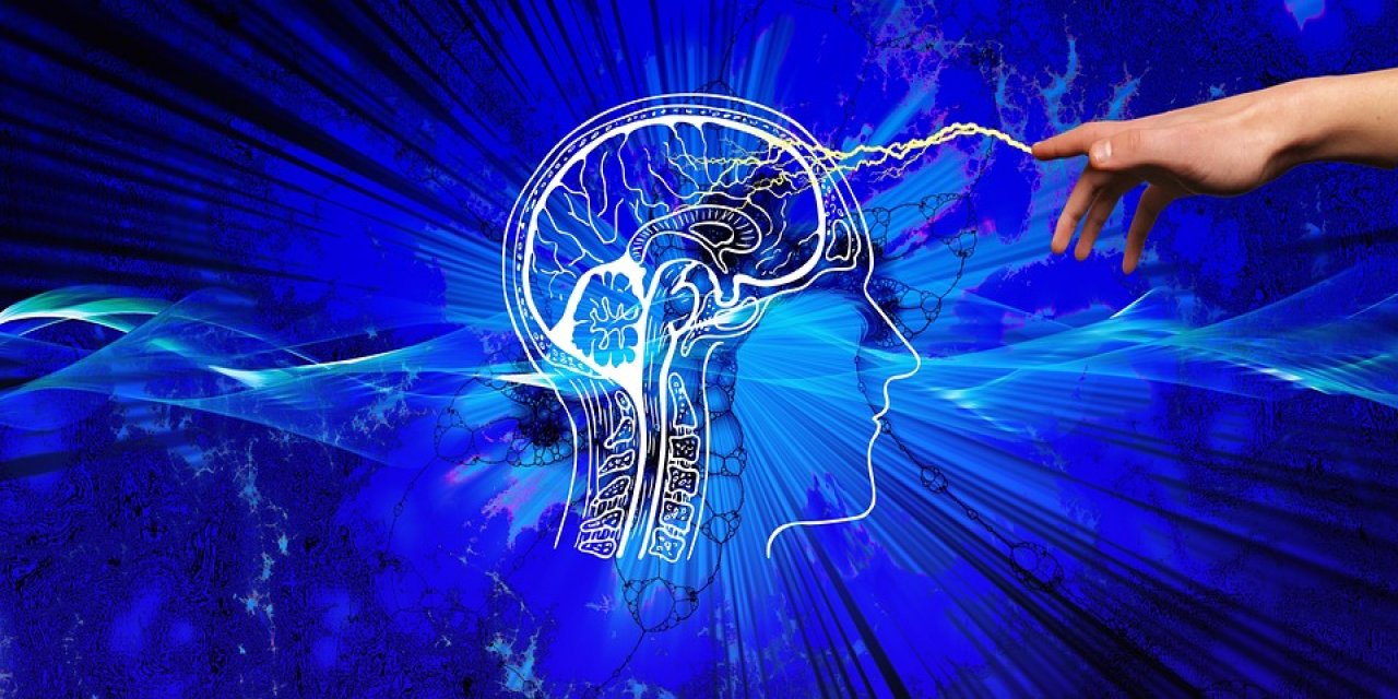 Dünyanın en kısa IQ testi: Bu test sadece 3 soru