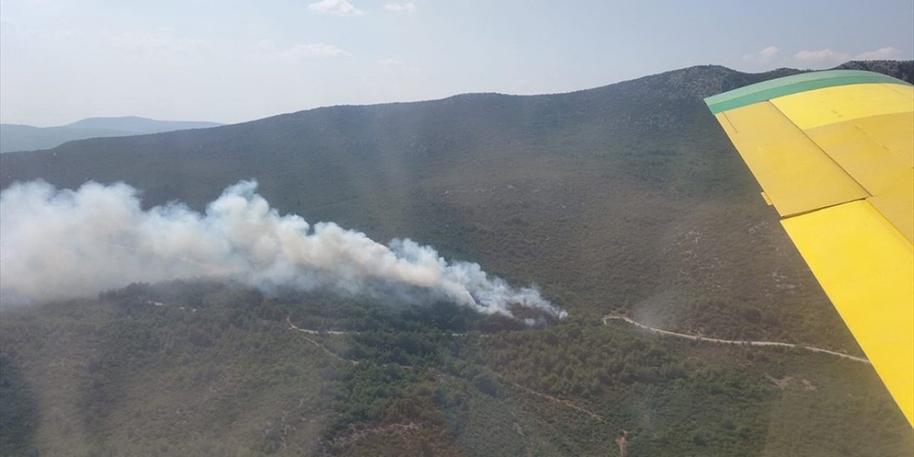 İzmir'in Selçuk İlçesinde Çıkan Orman Yangınına Müdahale Ediliyor