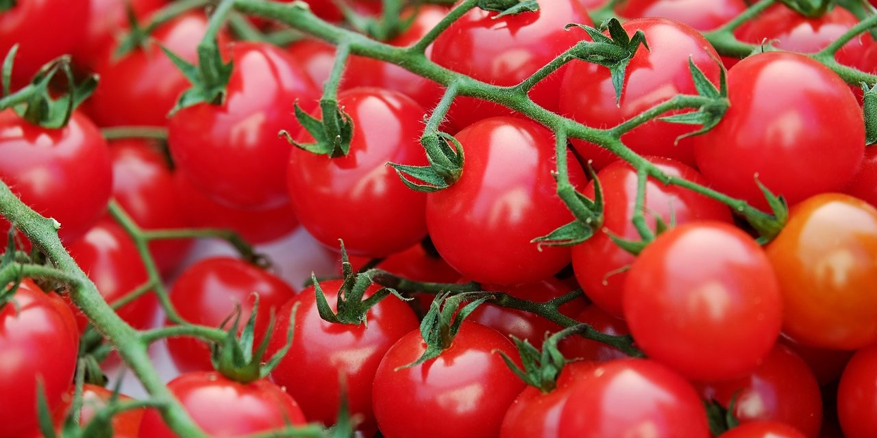 Domates tüketirken aklınızda bulunsun! En sağlıklı domates türü belli oldu. Hiç dikkat etmemiştik