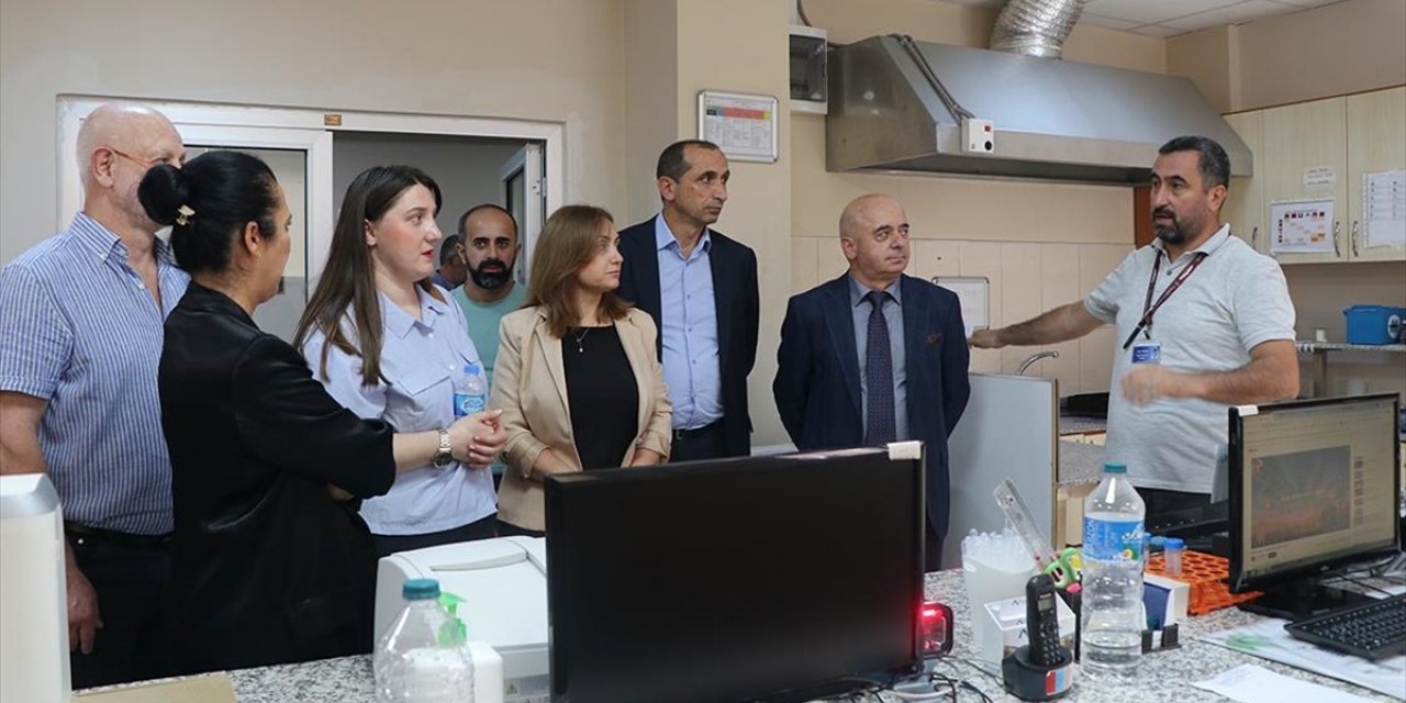 Trabzon Sağlık Turizminde Gürcistan'dan Talep Görüyor