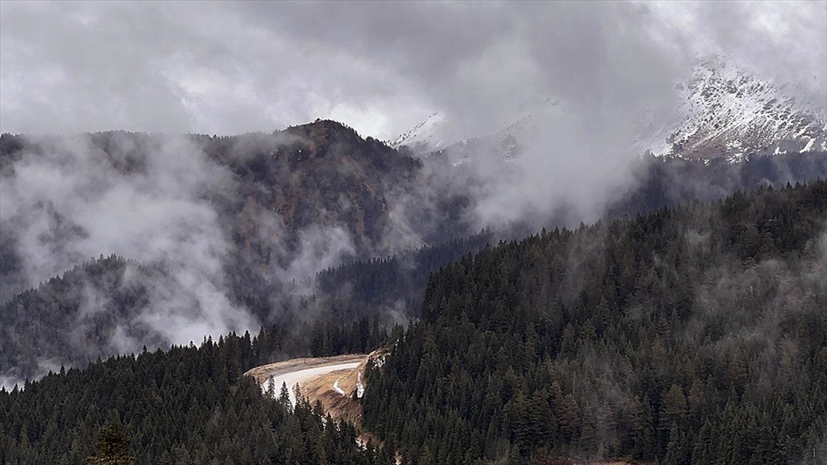 Ilgaz Dağı Kayak Merkezi'nde görsel şölen