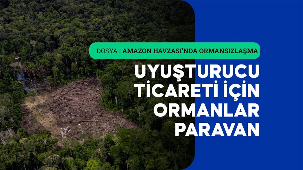 Amazon Havzası'ndaki değişim! Uyuşturucu üretimi ormanı mahvetti...