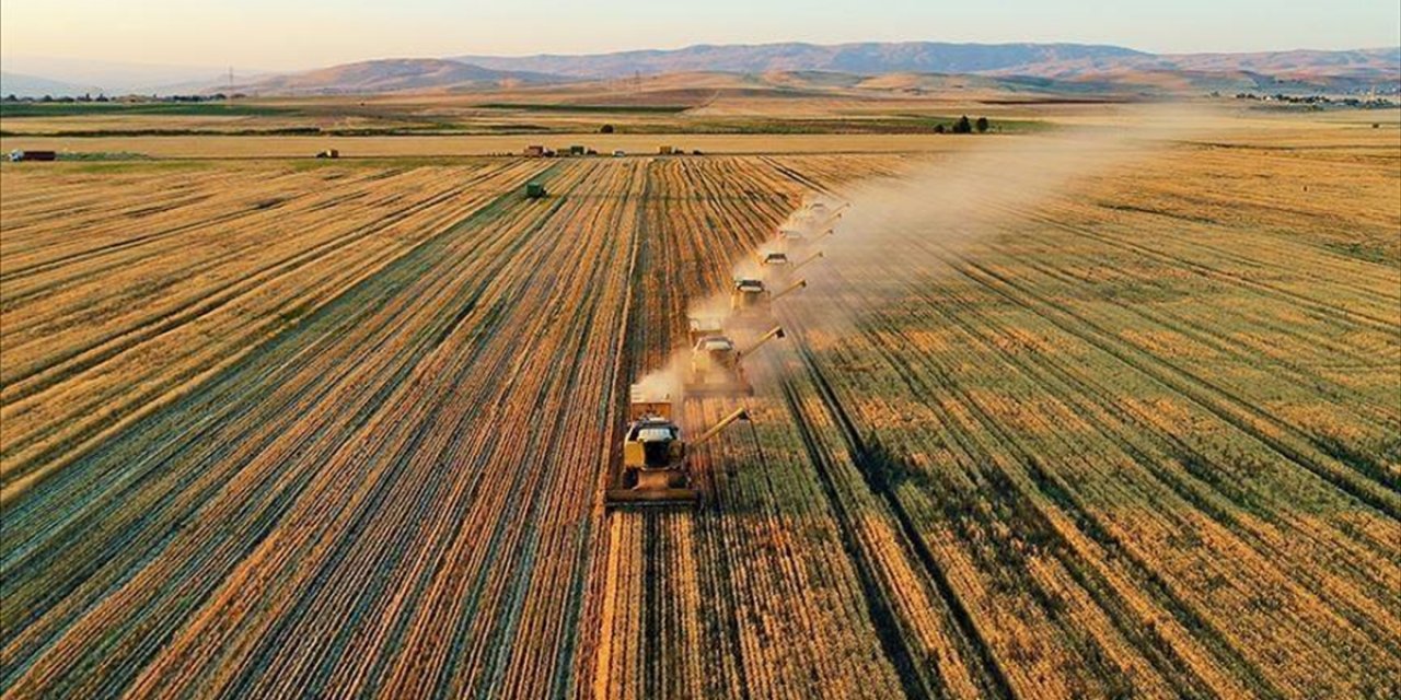 Çiftçilere yapılacak yeni destek ödemesinin detayları belli oldu