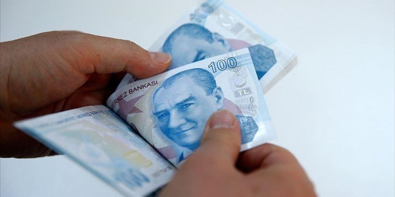 213 Milyon Liralık Tarımsal Destek Ödemeleri Başladı