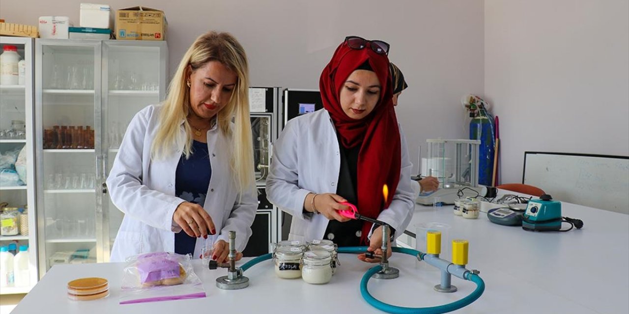 Van'da üretilen maya Türkiye'de bir ilk oldu: Gıdalarda kullanılacak