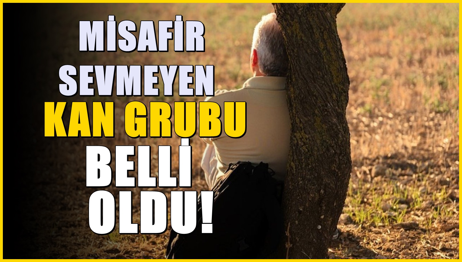 Misafir sevmeyen kan grubu: Bu kan grubundakiler yalnızlığı seviyorlar