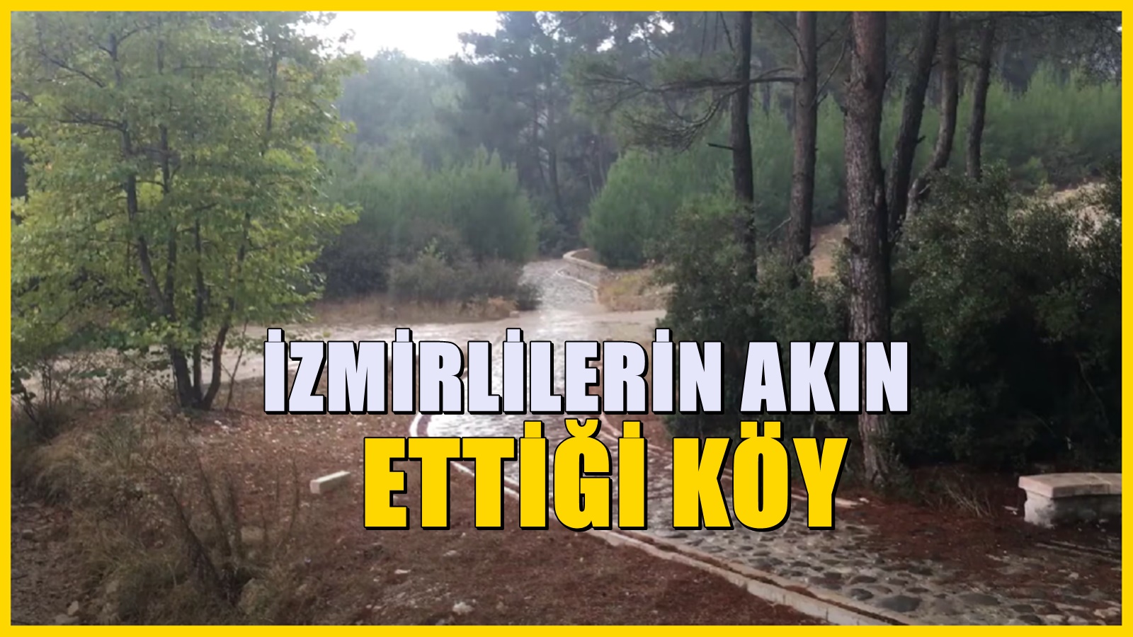 İzmir'in akciğerleri olarak biliniyor! Cumartesi ve Pazarları nüfusu 10 kat artan köy