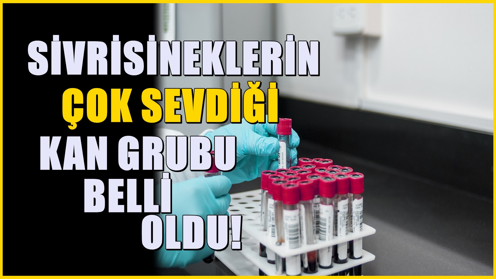 Sivrisineklerin çok sevdiği kan grubu belli oldu! O kişileri daha çok rahatsız ediyor