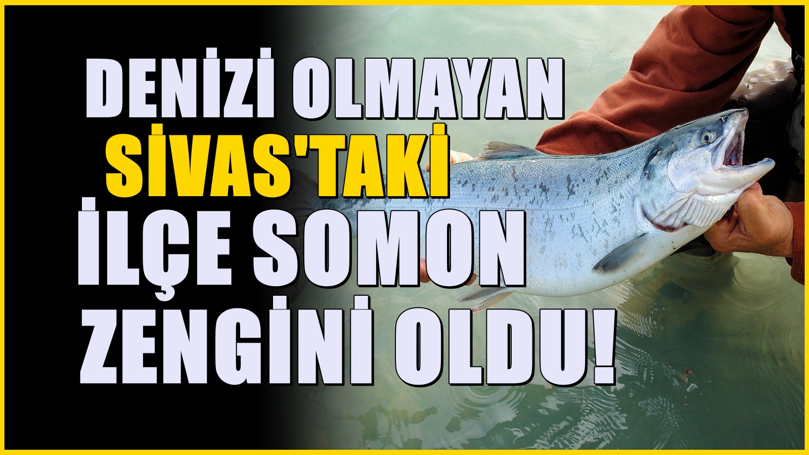 Rusların gözünü diktiği Sivas'taki ilçe! Denizi yok ama tonlarca somon üretiyor