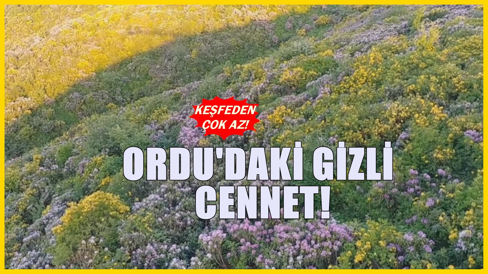 Ordu’nun saklı cenneti! Yeşil ve mavinin aşkı orada buluşmuş
