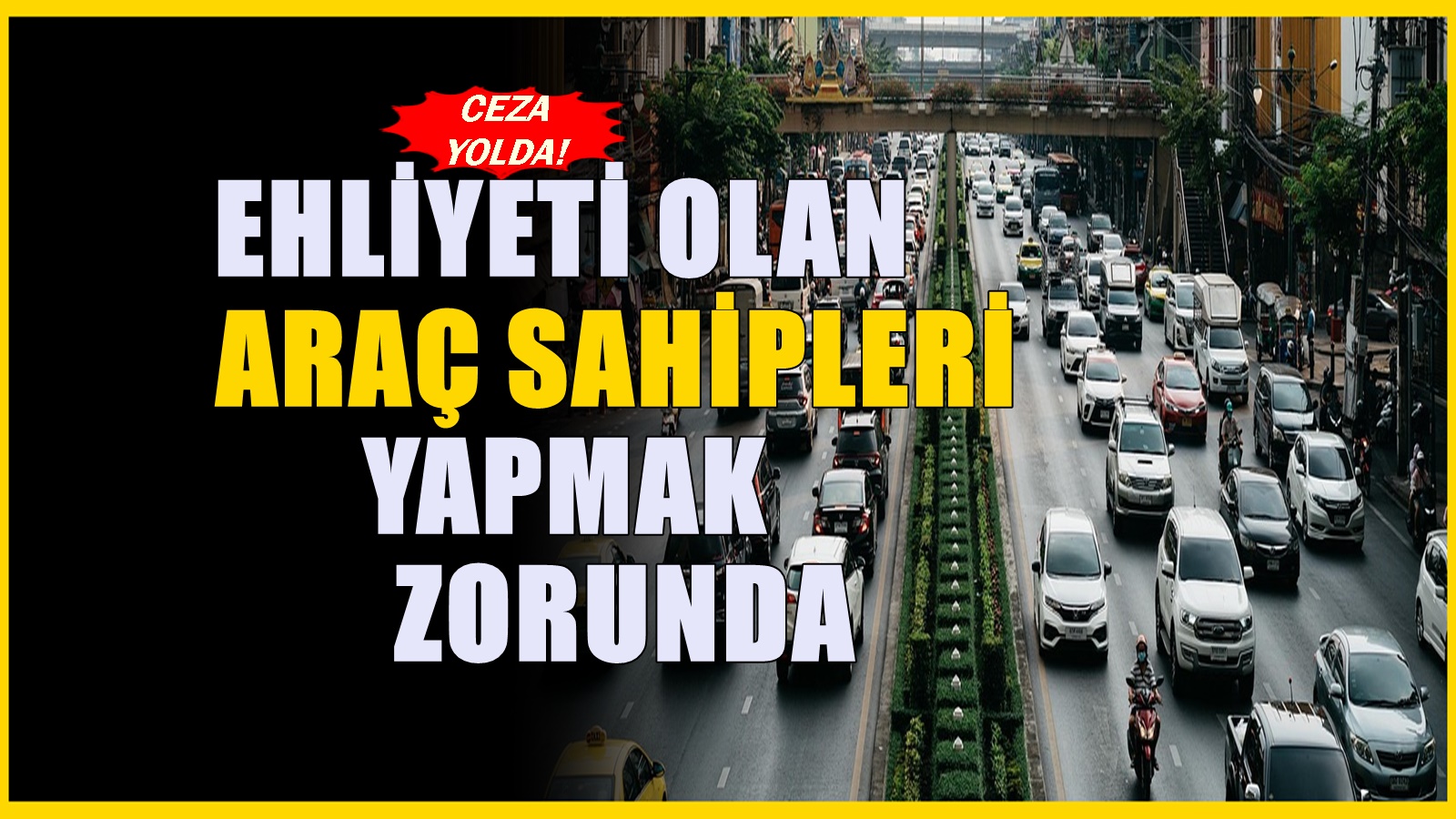 Ehliyeti olanlara verilen süre doluyor! Denetimler başlayacak, cezası var