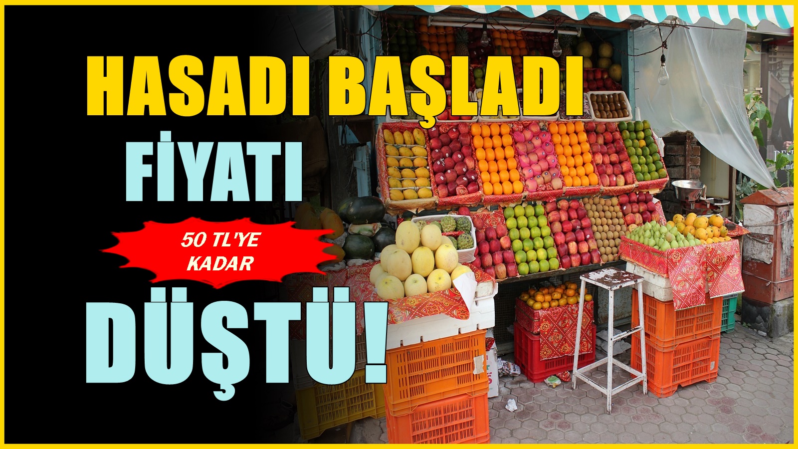 300 liradan satılıyordu! Hasat başlayınca marketlerde kilosu 50 liradan satışa çıktı
