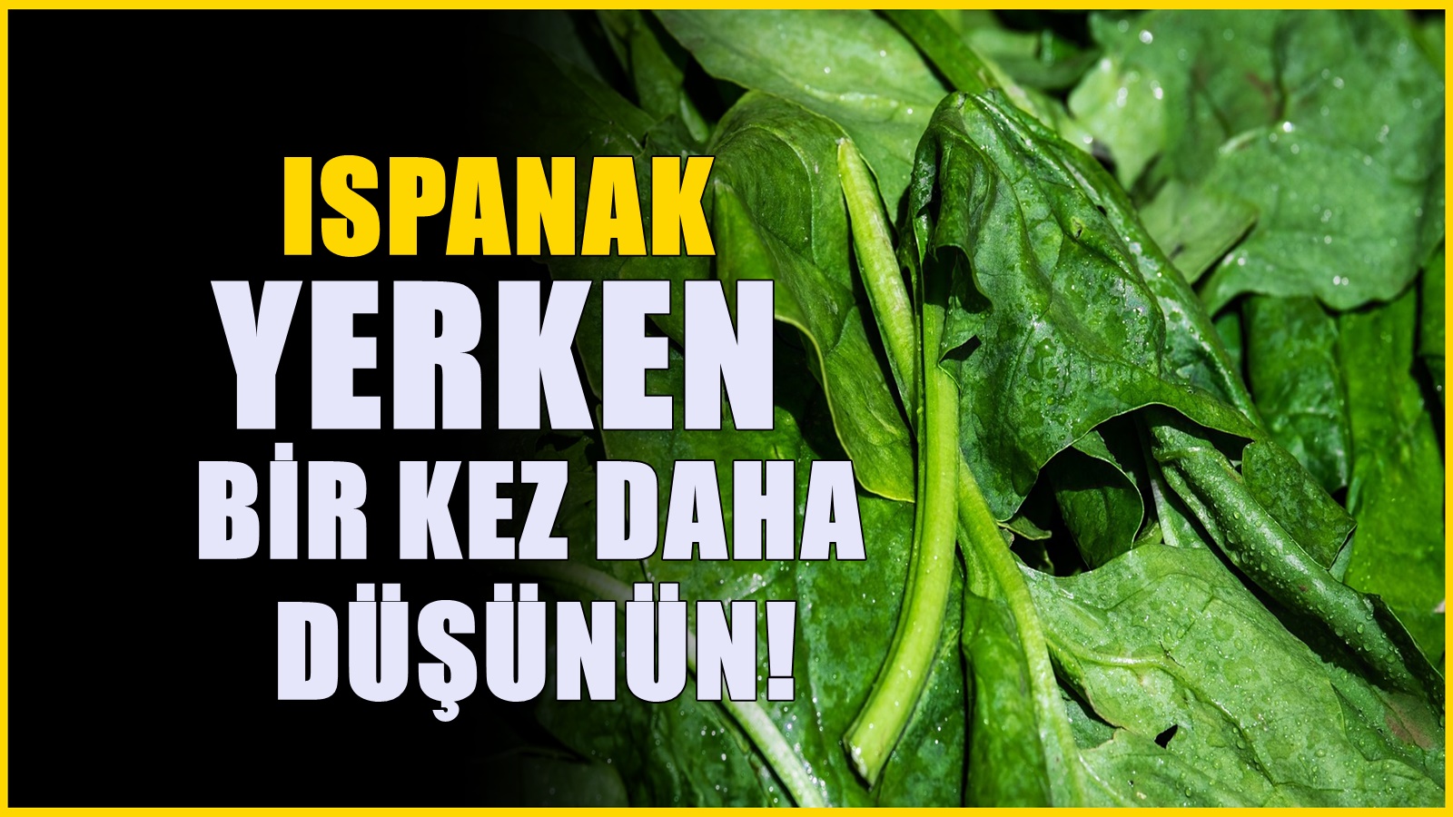 Ispanak yerken bir kez daha düşünün - Severek tüketiyorduk
