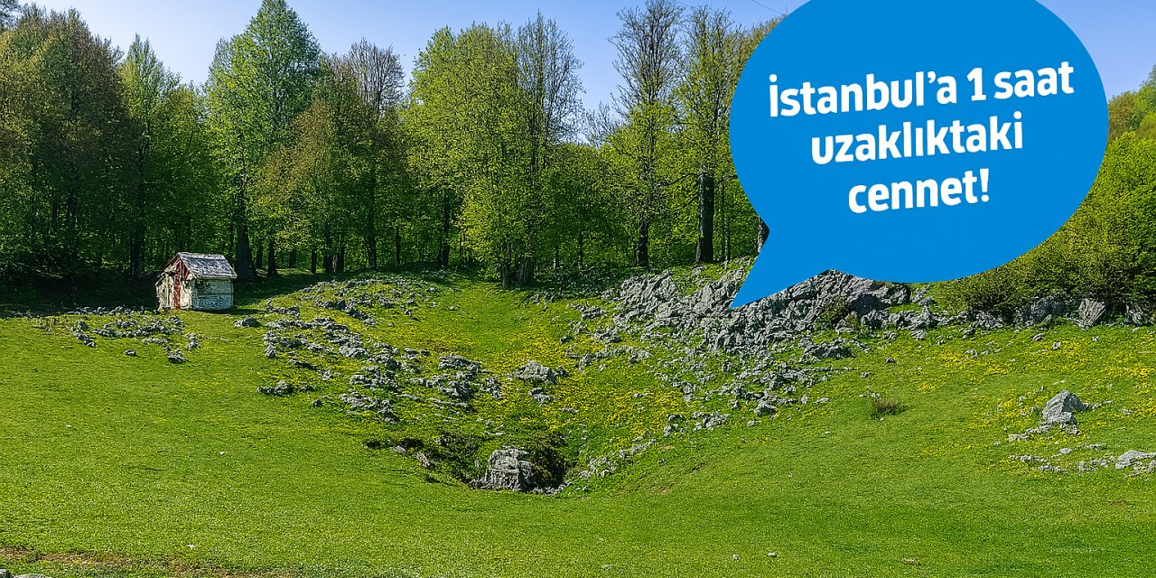 İstanbul'a 1 saat uzaklıkta! İsviçre’yi aratmayan doğal cennet