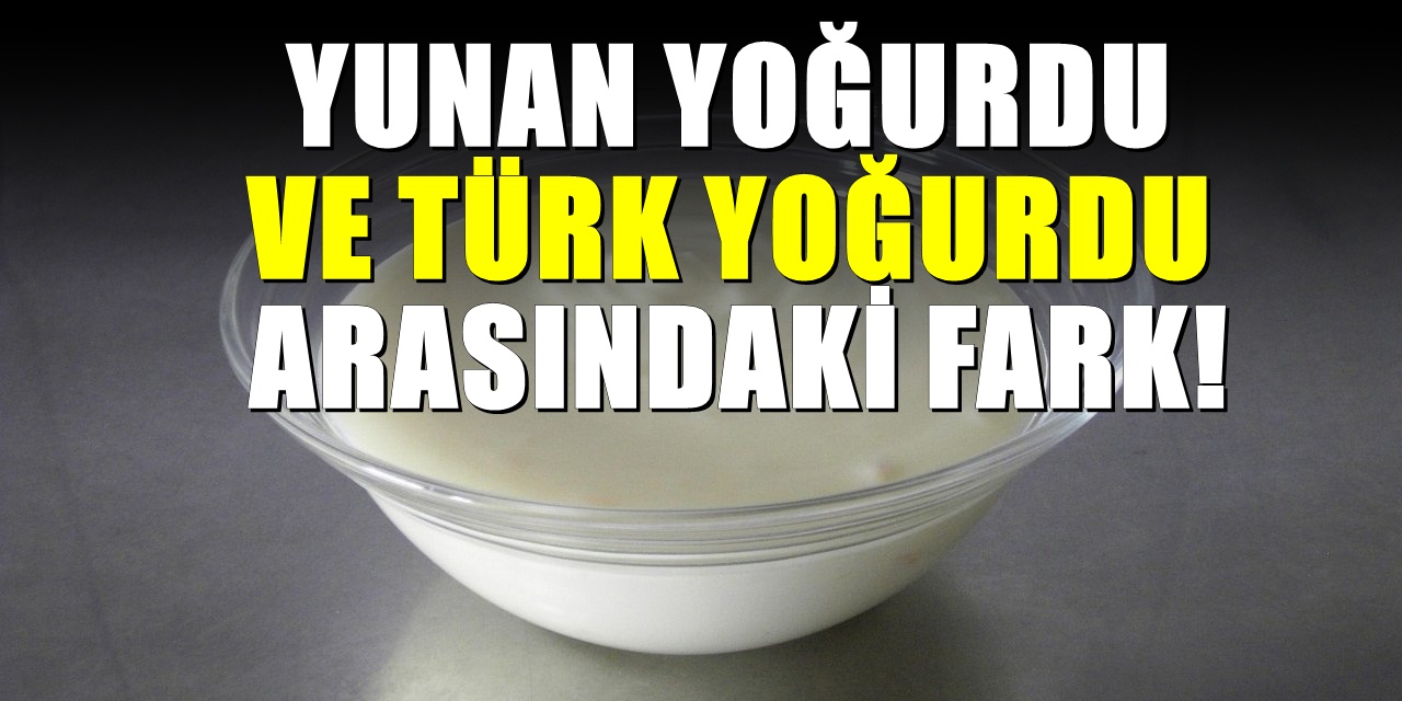Yunan yoğurdu ve Türk yoğurdu arasındaki fark! Meğer yanılmışız