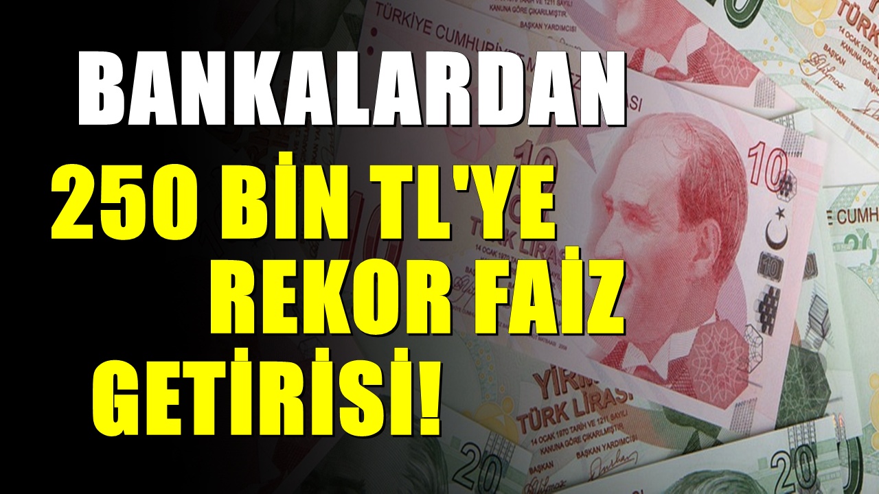 250 Bin TL’nin 32 Günlük Getirisi Belli Oldu: Banka Banka Vadeli Mevduat Kazançları