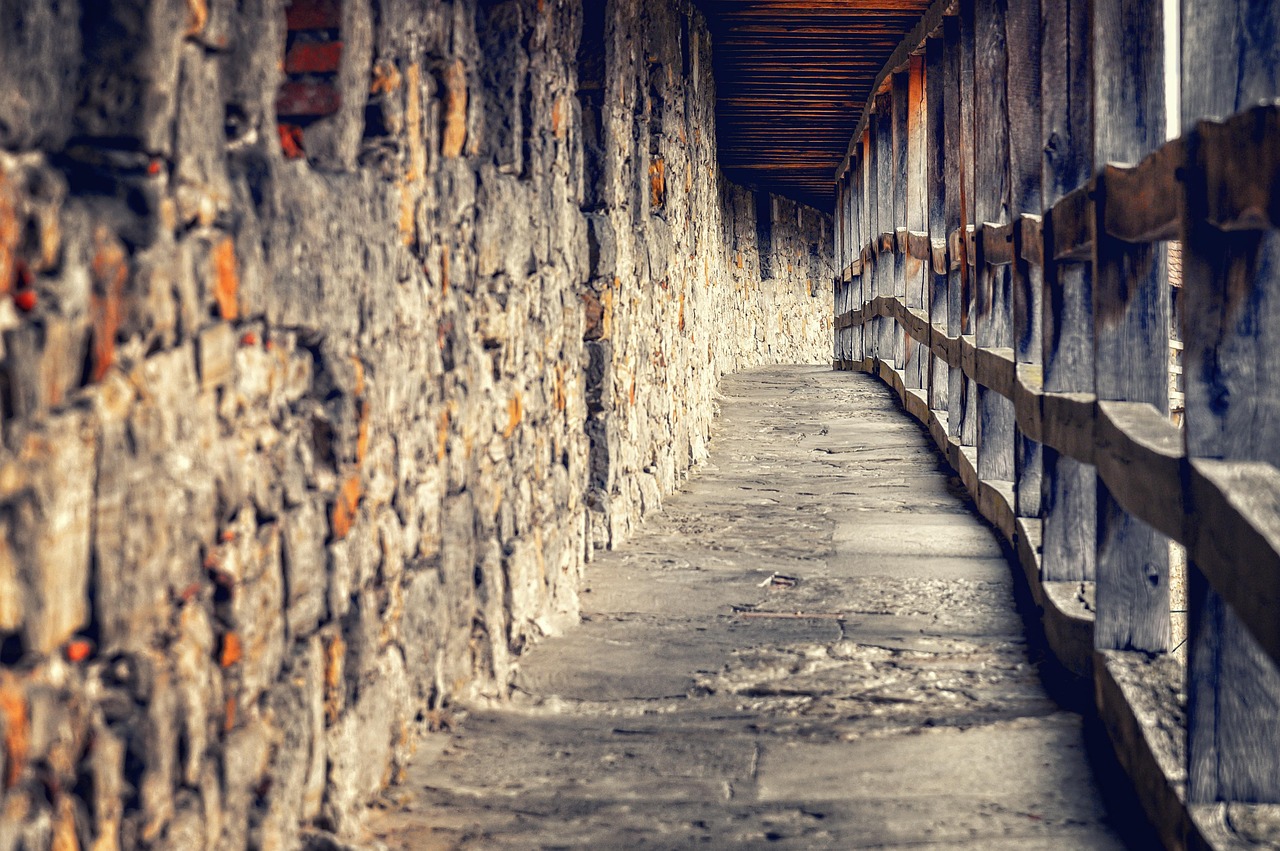 Almanya’dan Doğu Kanadına Hamle: Polonya Sınırında Siperler