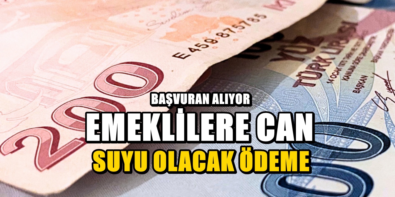 Emekliler için can suyu olacak destek - Başvurular başladı