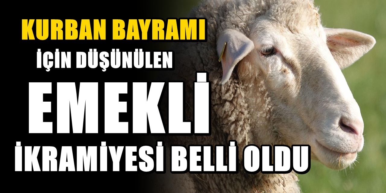 SGK uzmanı açıkladı : Kurban bayramı ikramiyesi için düşünülen rakam