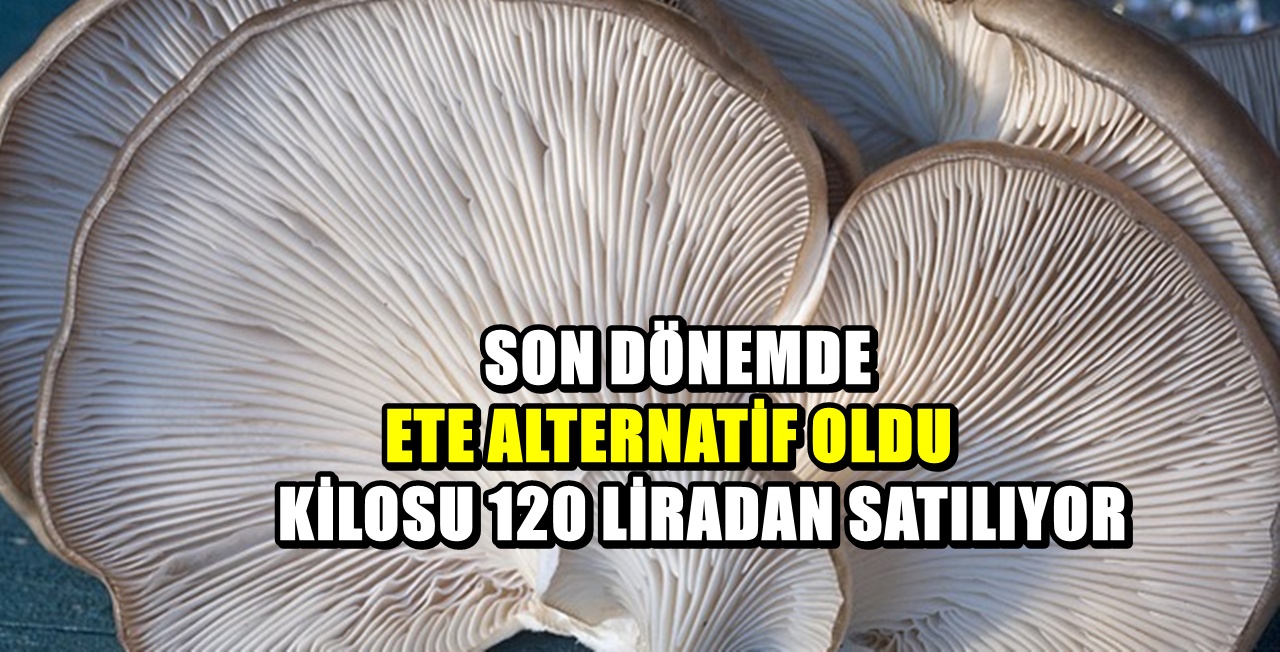Kırmızı ete rakip: Pazarların yeni gözdesi kilosu 120 liradan satılıyor