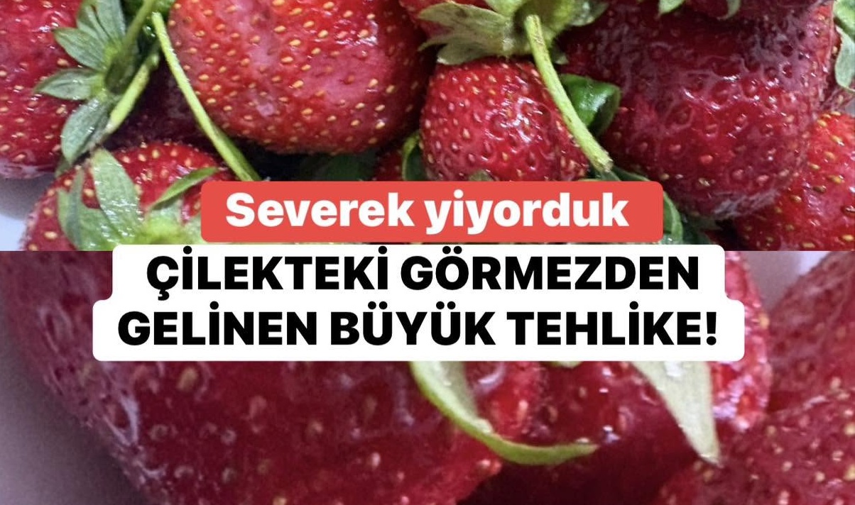 Çilekteki Görmezden Gelinen Tehlike! Uzmanlardan Aşırı Tüketim ve Yıkama Uyarısı