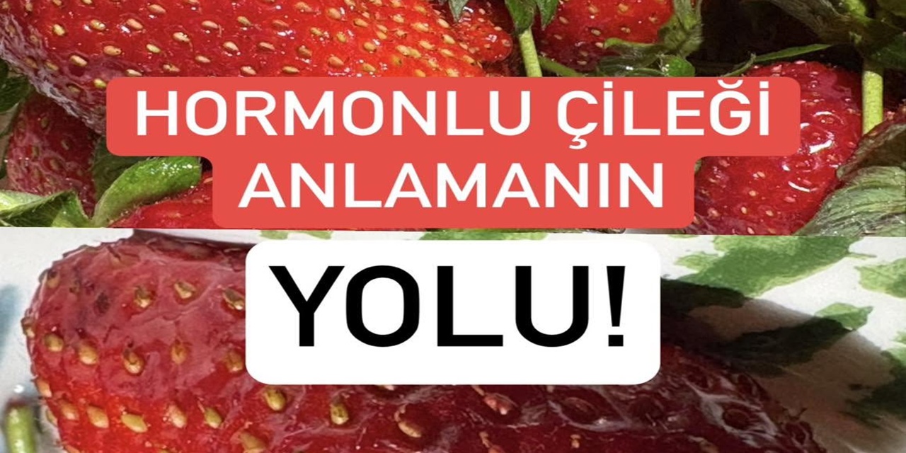 Çileğin Hormonlu Olup Olmadığı Nasıl Anlaşılır? Uzmanlar Bu İşaretlere Dikkat Çekiyor