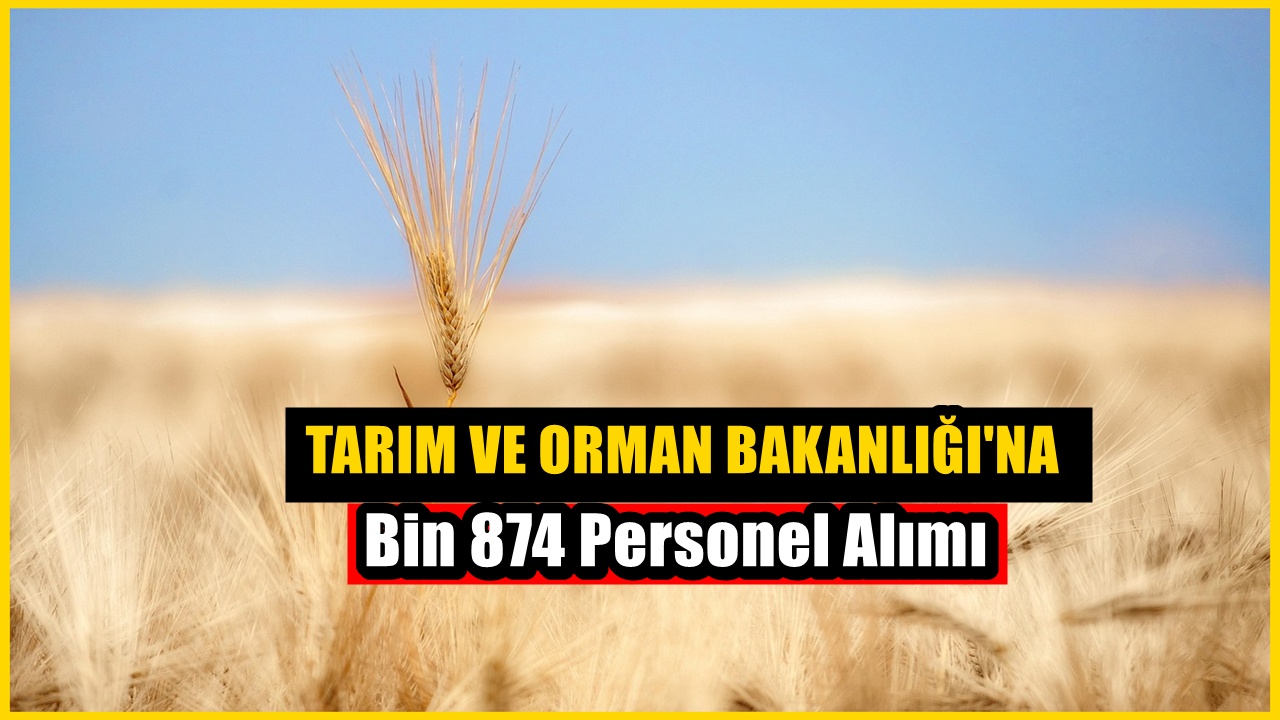 Tarım ve Orman Bakanlığı'na Bin 874 Personel Alımı Yapılacak