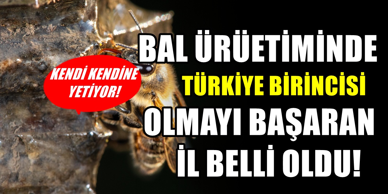 Financial Times dünyanın en iyi balını araştırdı! Türkiye'den o il zirveye yerleşti