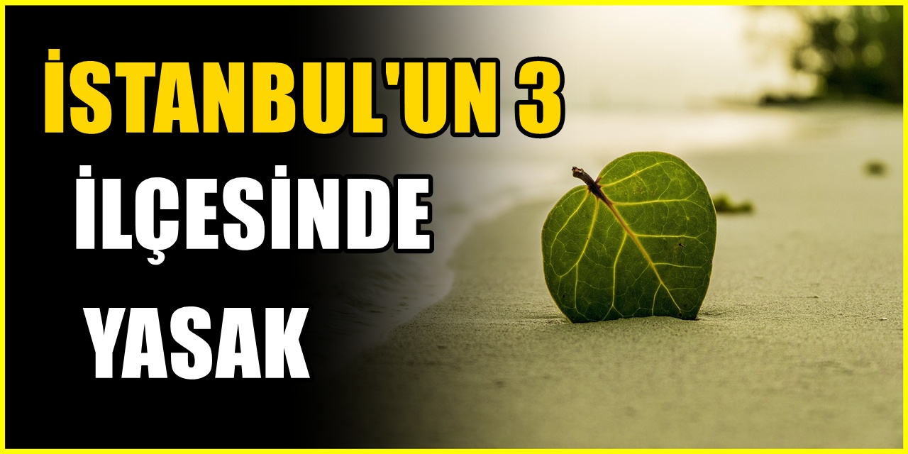 Beykoz, Sarıyer ve Şile ilçelerinde denize girmek iki gün yasaklandı
