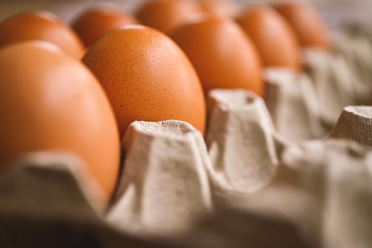Yumurta kabusu sürüyor! Belçika'da Salmonella salgını devam ediyor