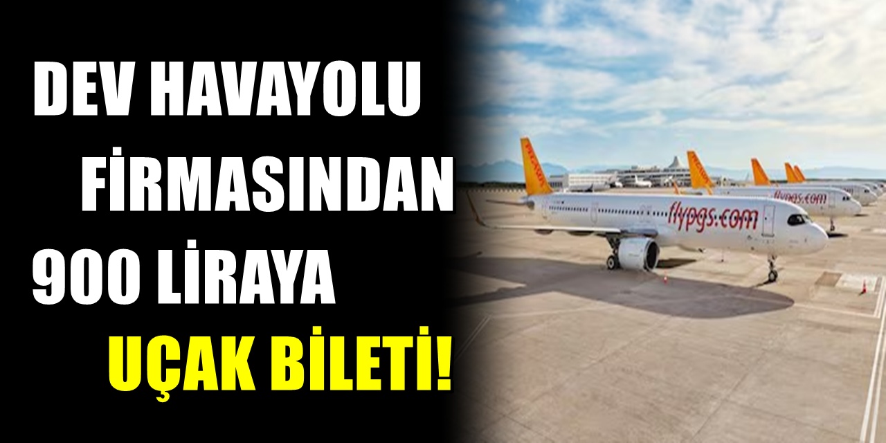 Pegasus kampanya yaptı! 900 liraya uçak bileti