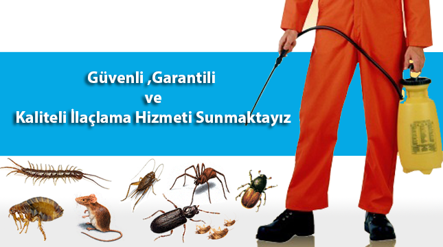 Farelerle Nasıl Mücadele Etmeliyiz?