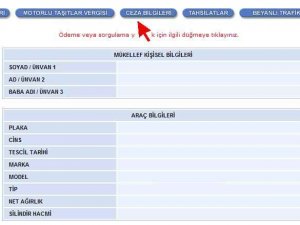 Trafik Cezası Ödeme Ve Sorgulama Nasıl Yapılır?