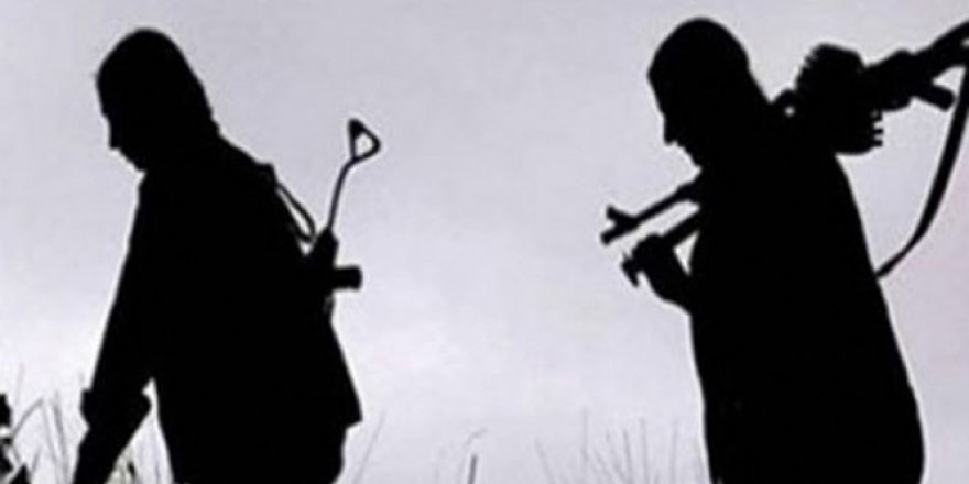 Ağrı'da sözde Sinek Yayla sorumlusu terörist öldürüldü