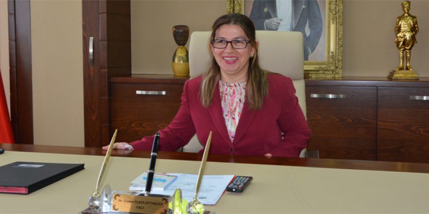 Görevden alınan Sinop Valisi Çetinkaya'nin Albay eşi tutuklandı