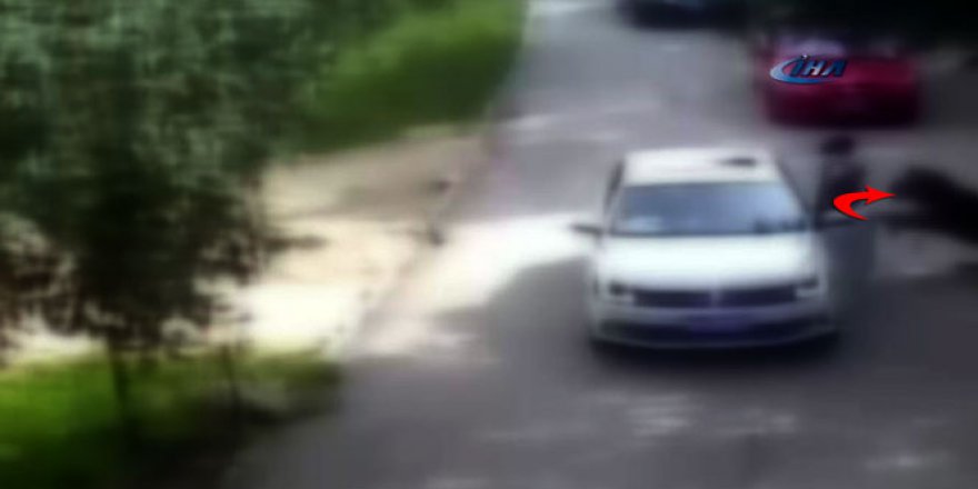 Çin’de kaplan dehşeti: 1 ölü, 1 ağır yaralı