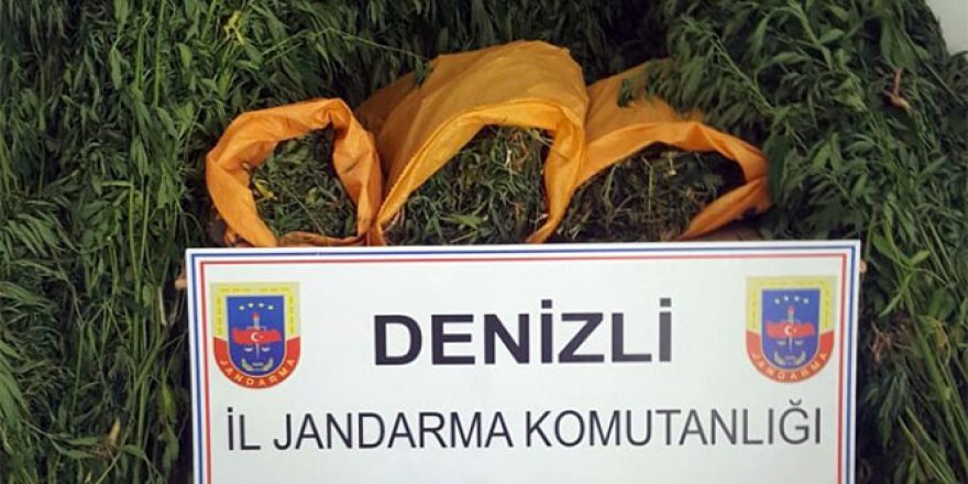 Denizli'de uyuşturucu operasyonu: 718..