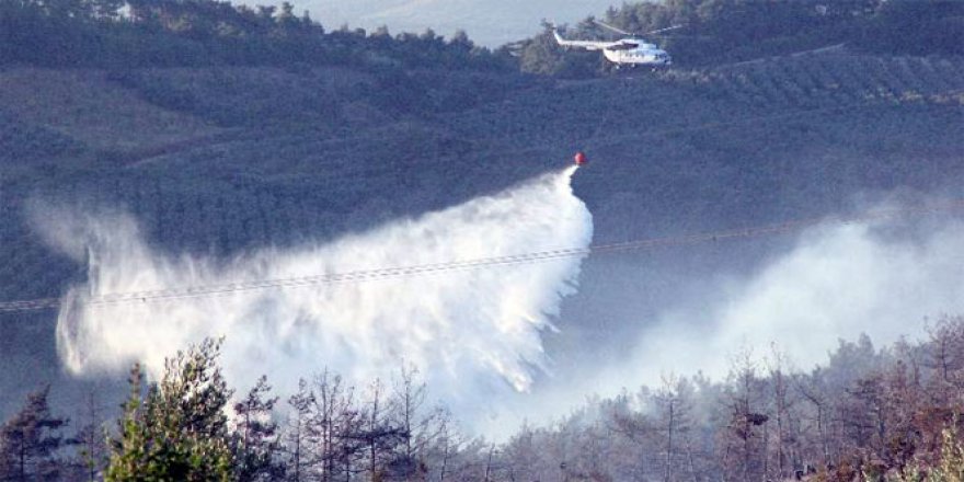 Bursa, Mudanya'da Orman Yangını