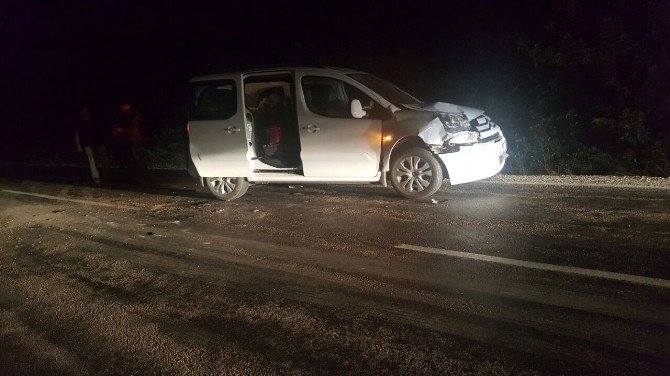 Eskişehir'de Domuz Sürüsü Kazaya Neden Oldu