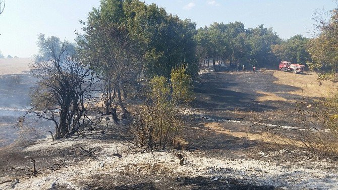 Çan Bilaller Köyünde Orman yangını