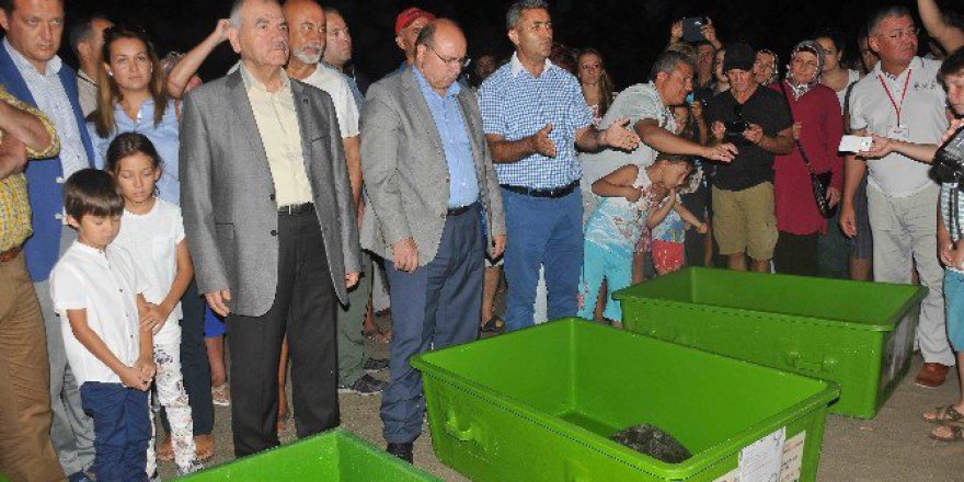 Ortaca Dekamer’de Tedavileri Tamamlanan Deniz Kaplumbağaları Denize Bırakıldı