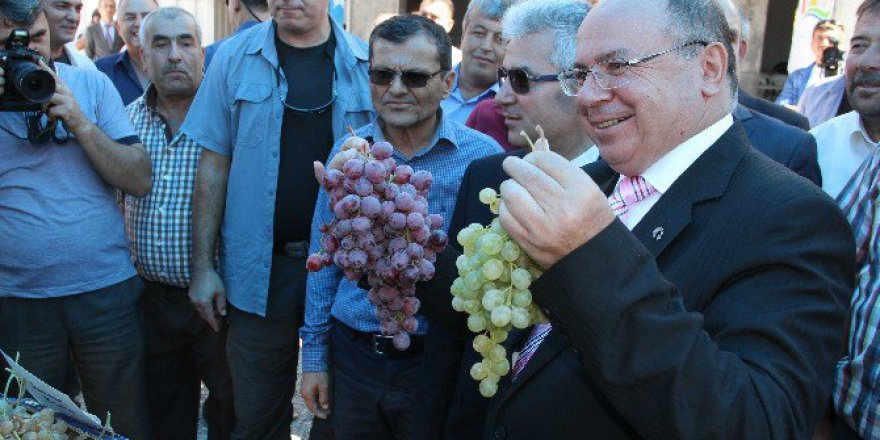 Mugla, Seydikemer'de Bağ Bozumu Şenliği Yapıldı