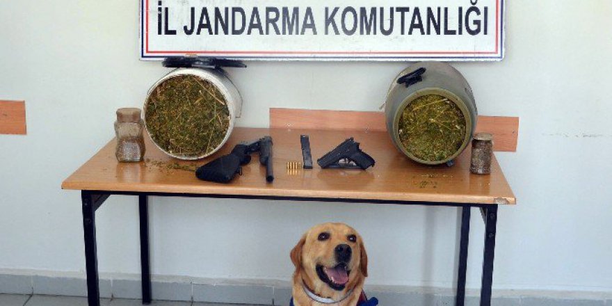Mersin, Anamur’da Uyuşturucu Operasyonu: 2 Tutuklama