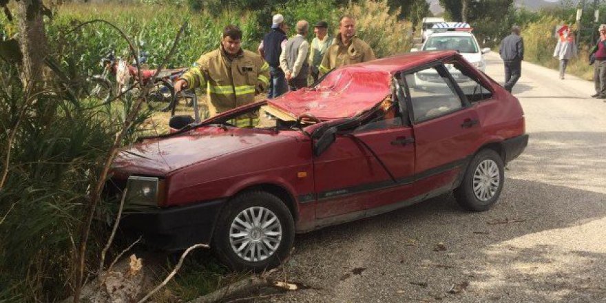 Balıkesir'de Seyir Halindeki Aracın Üzerine Ağaç Düştü: 1 Ölü, 1 Yaralı