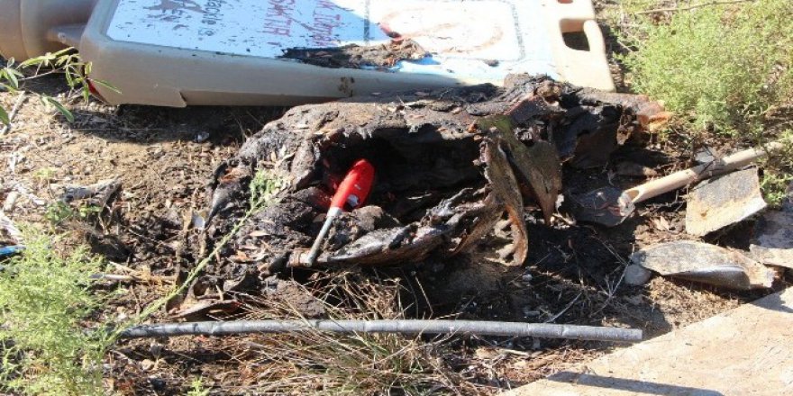 Muğla, Fethiye’de yakılmış Caretta Caretta