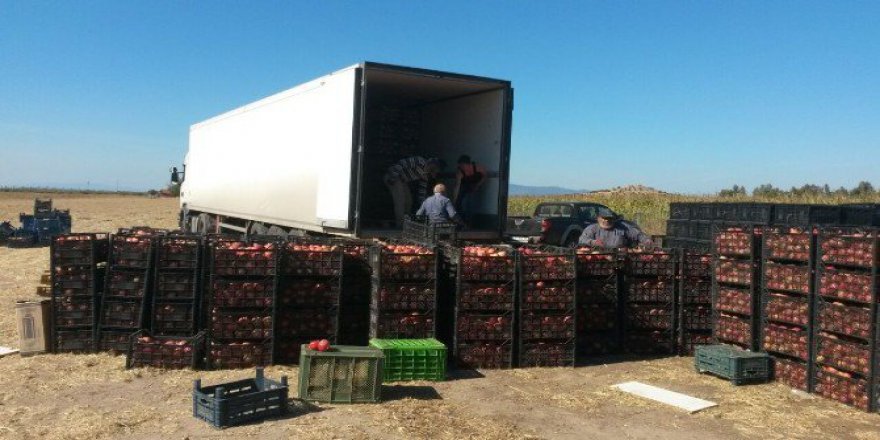 İzmirli Şimşek Ailesinden Suriye’ye 42 Ton Nar Bağışı