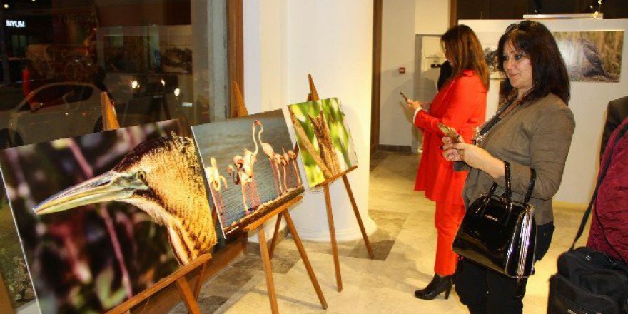 Samsunlu Küçük Fotoğrafçı Alihan Aktürk'ten Büyük Sergi