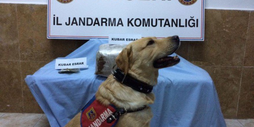 Kayseri’de Uyuşturucu Operasyonları: 5 Gözaltı