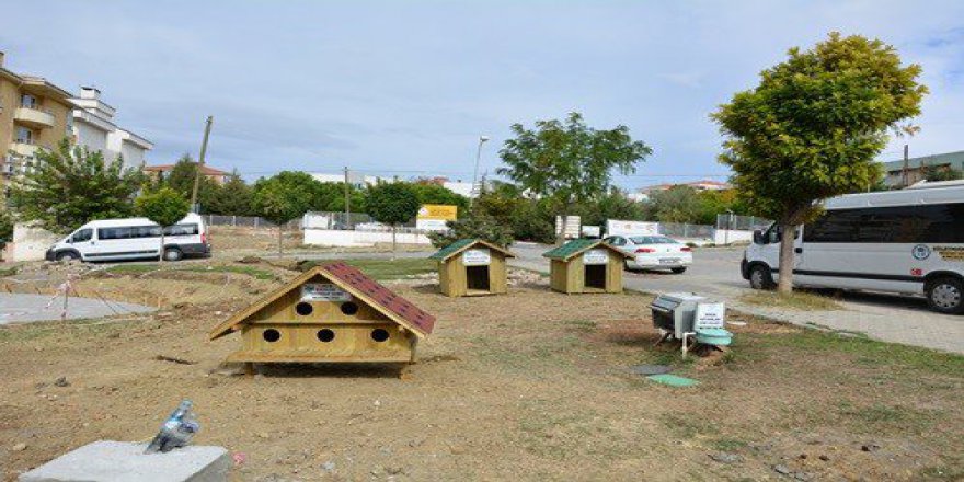 Tekirdağ'da Kedi Ve Köpekler Evlerine Kavuştu